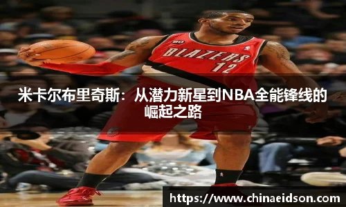 BB贝博ballbet